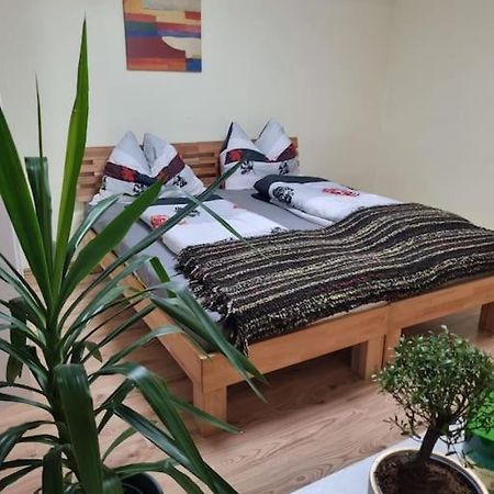 شقة Guggenthal  في Salzburg Living المظهر الخارجي الصورة