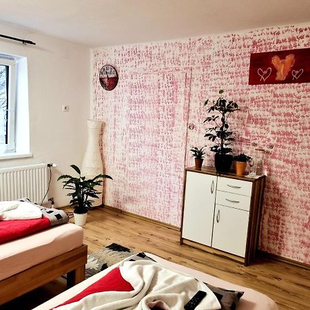 شقة Guggenthal  في Salzburg Living المظهر الخارجي الصورة