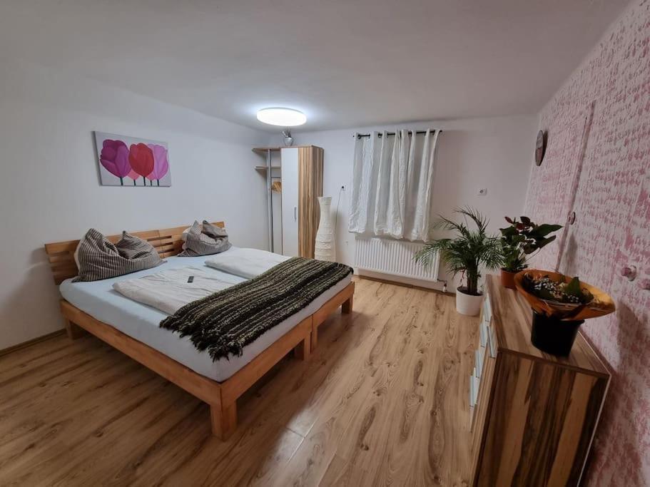 شقة Guggenthal  في Salzburg Living المظهر الخارجي الصورة