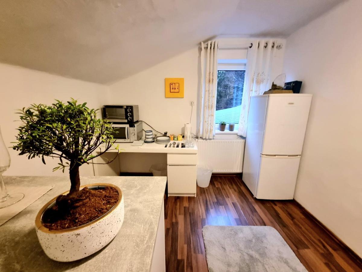 شقة Guggenthal  في Salzburg Living المظهر الخارجي الصورة