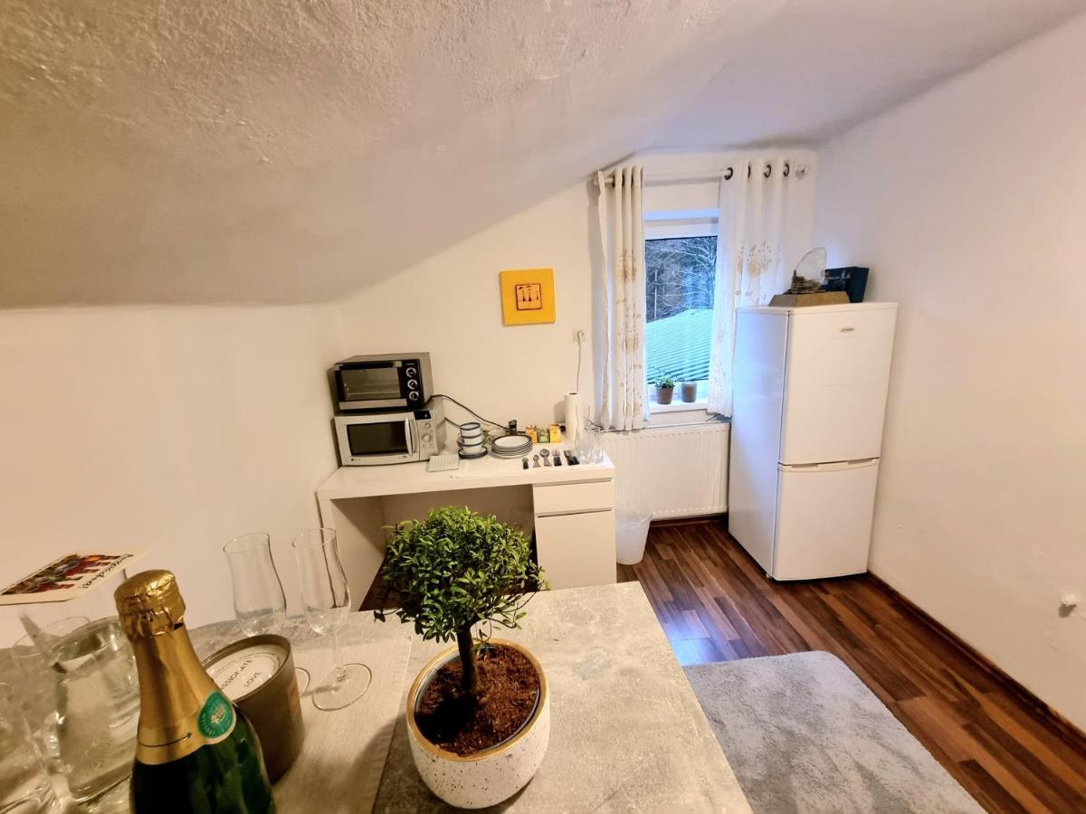 شقة Guggenthal  في Salzburg Living المظهر الخارجي الصورة